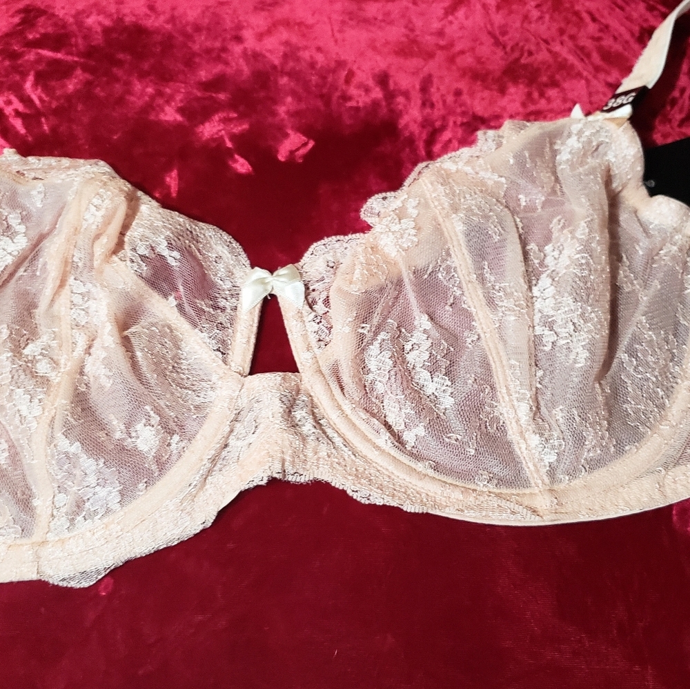 Felina "Captivate" beige lace bra NWT Size 38G